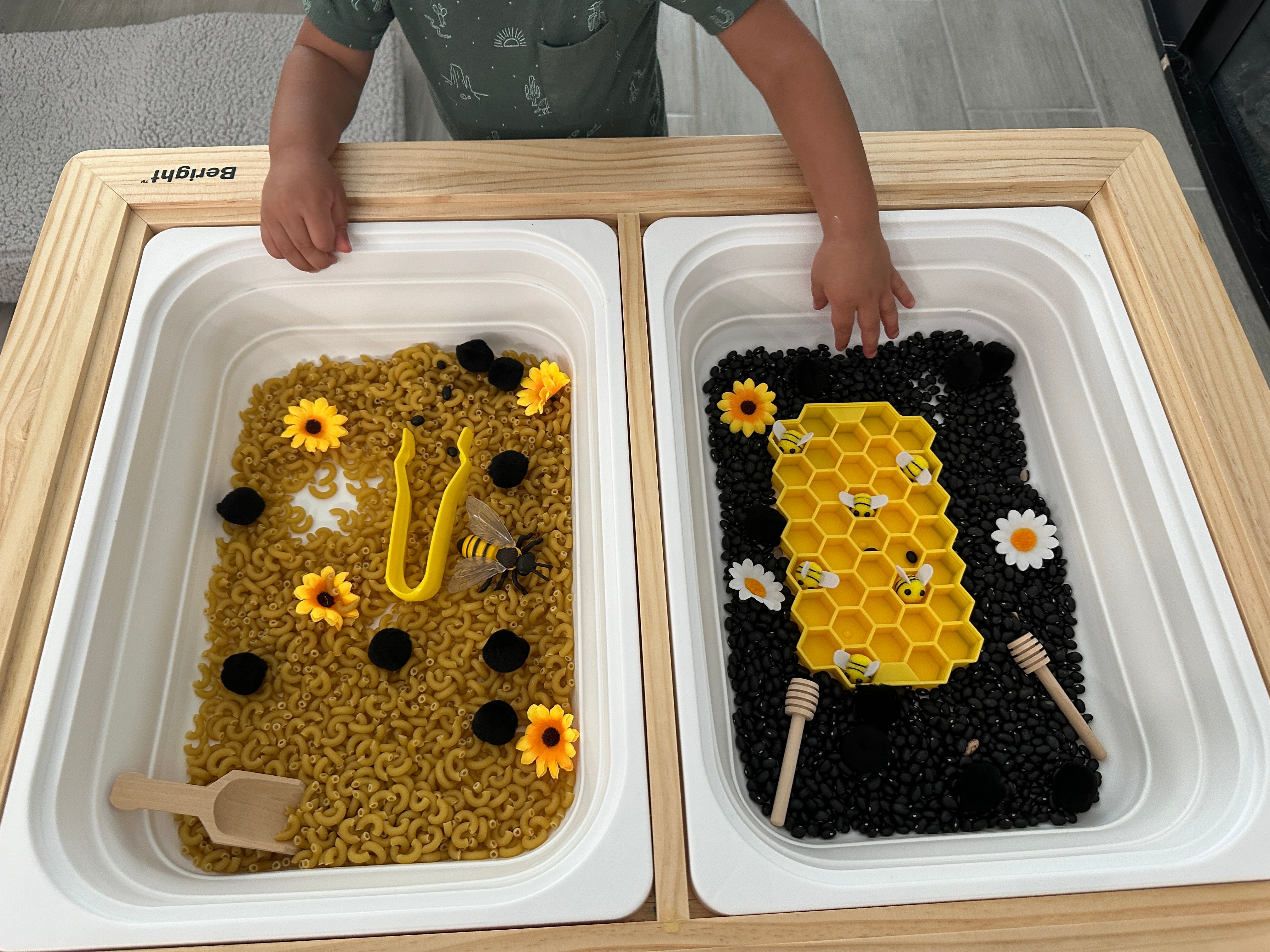 Sensory Bins