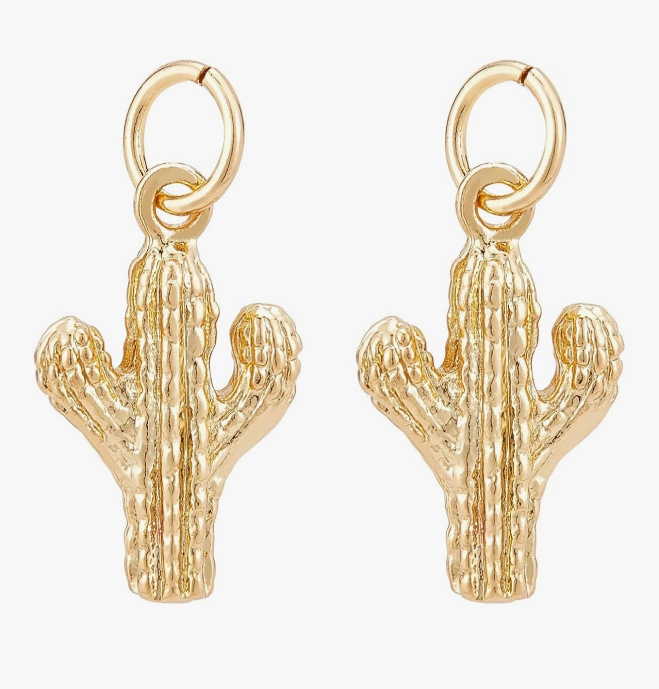 Cactus Charm