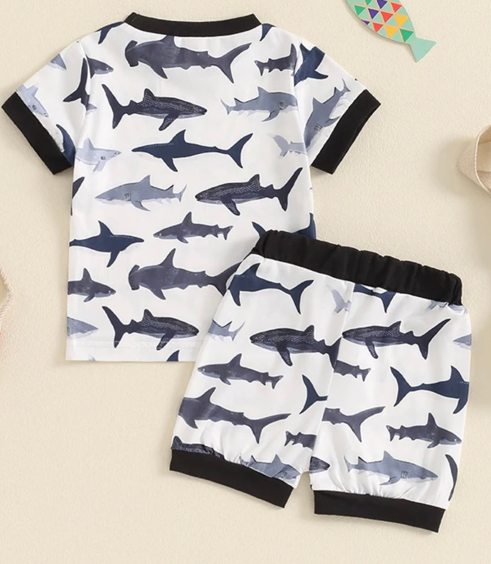 2 Piece Shark Set