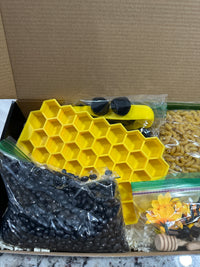 Bee Sensory Bin