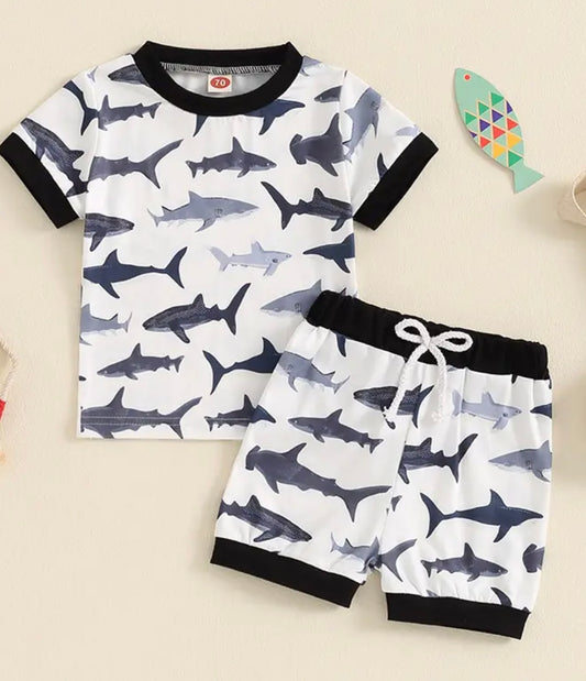 2 Piece Shark Set